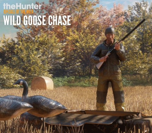 _thehunterwildgoose800
