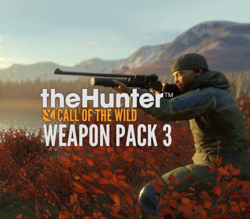 _thehunterweaponpack3_800