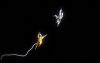 heavenly-bodies_original_1