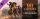 age-of-empires-iii-definitive-edition-mexico-civilization_cover_original