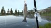 ultimate-fishing-simulator-vr_original_3