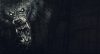 werewolf-the-apocalypse_original_1