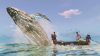 submerged-hidden-depths_original_3
