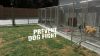 animal-shelter_original_3