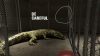 animal-shelter_original_4