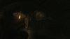 Amnesia Collection