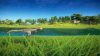 prehistoric-kingdom_original_1