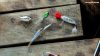 ultimate-fishing-simulator-sakura-lures-dlc_original_3