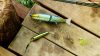 ultimate-fishing-simulator-sakura-lures-dlc_original_4