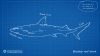 ultimate-fishing-simulator-thailand_original_0