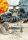 Conflict Desert Storm