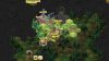 crowntakers_original_1