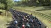 pro-cycling-manager-2022_original_0