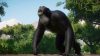 planet-zoo-conservation-pack_original_2