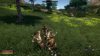Outward Definitive Edition