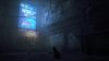 stray_original_1