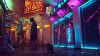 stray_original_3