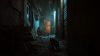 stray_original_4