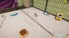 animal-shelter-simulator-puppies-and-kittens_original_3