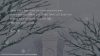 psychedelica-of-the-ashen-hawk_original_0