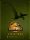 jurassic-world-evolution-2-late-cretaceous-pack_cover_original