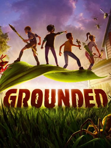 grounded_cover_original