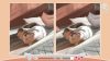 cute-cats_original_1