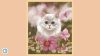 cute-cats_original_4