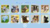 cute-dogs_original_1
