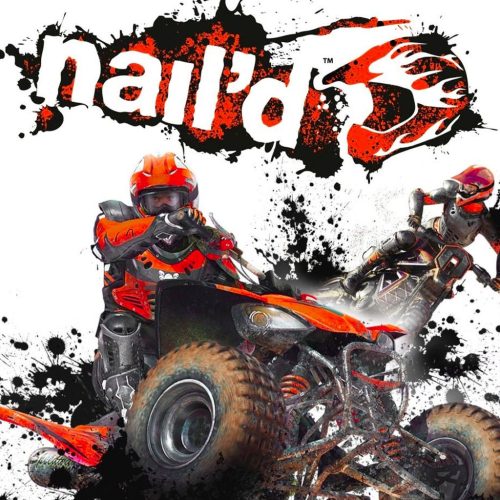 naild PC Steam játék