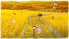 doraemon-story-of-seasons-friends-of-the-great-kingdom_original_3