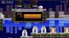 zool-redimensioned_original_1