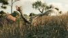 jurassic-world-evolution-2-dominion-malta-expansion_original_2