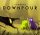 rain-world-downpour_cover_original