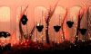 rain-world-downpour_original_0