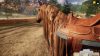 animal-shelter-simulator-horse-shelter-dlc_original_1