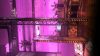 oddworld-new-n-tasty_original_1