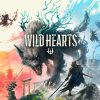 WILD HEARTS PC EA játék