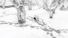 blanc_original_3