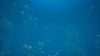 bassmaster-fishing-2022-lake-hartwell_original_1