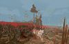shelter-2_original_2