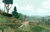 shelter-2_original_5