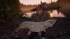 the-catch-carp-and-coarse-fishing-jezioro-bestii_original_4