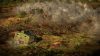 the-great-war-western-front_original_0