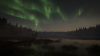 thehunter-call-of-the-wild-revontuli-coast_original_1