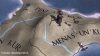europa-universalis-iv-domination_original_0