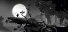 ori-and-the-blind-forest_original_4