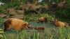 planet-zoo-tropical-pack_original_3