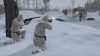 company-of-heroes-2_original_1