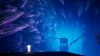 strayed-lights_original_4
